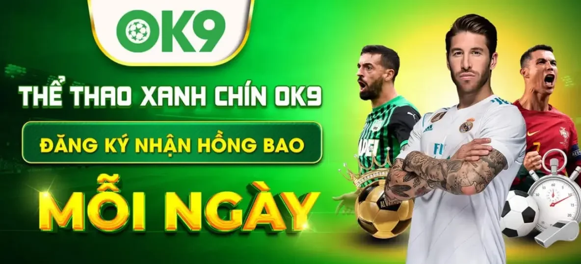 banner ok9008.com